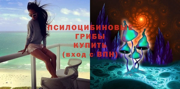 ALPHA-PVP Алексеевка